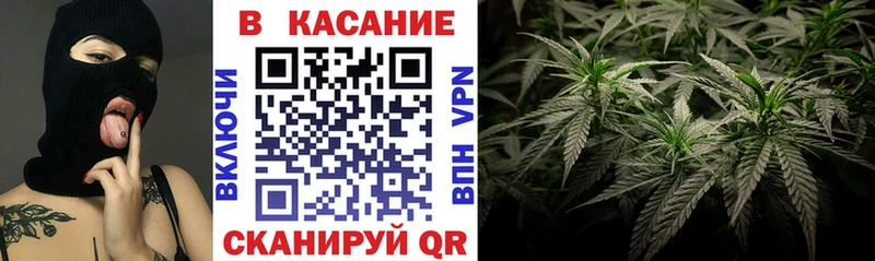 Где продают наркотики Моршанск COCAIN  Псилоцибиновые грибы  Каннабис 