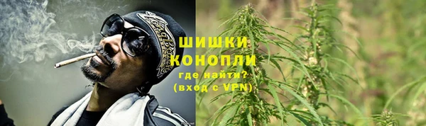 PSILOCYBIN Михайлов