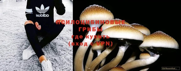 PSILOCYBIN Михайлов