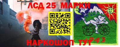 Альфа ПВП Вязьма