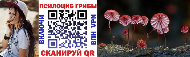 Псилоцибиновые грибы мицелий  Моршанск 