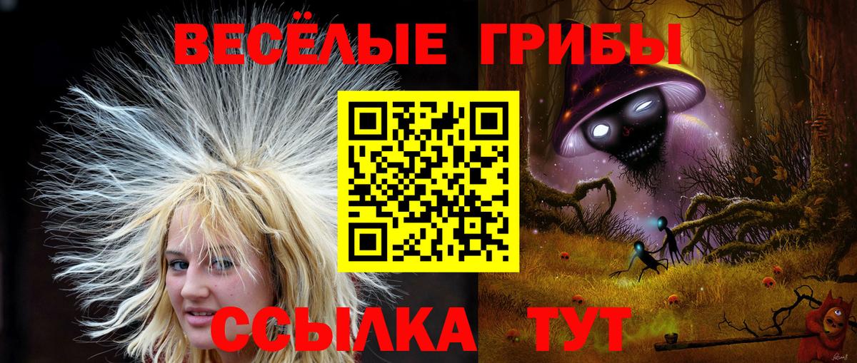 Моршанск  Псилоцибиновые грибы Magic Shrooms  Галлюциногенные грибы Psilocybine cubensis  Вход с VPN 